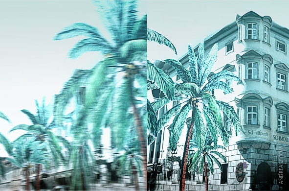 Photo Based 3D Animation