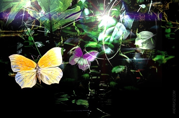 abstract design butterfly yellow
