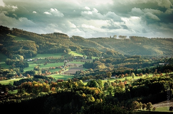 Mostviertel Herbststimmung Autumn Wood